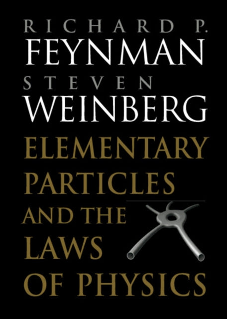 Elementary Particles and the Laws of Physics: The 1986 Dirac Memorial Lectures