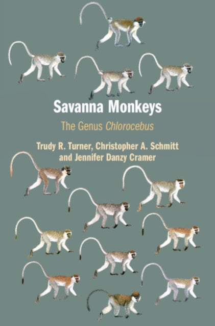 Savanna Monkeys - The Genus Chlorocebus