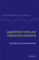 LOGARITHMIC FORMS AND DIOPHANTINE GEOMETRY