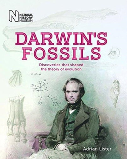 Darwin's Fossils - Discoveries that shaped the theory of evolution