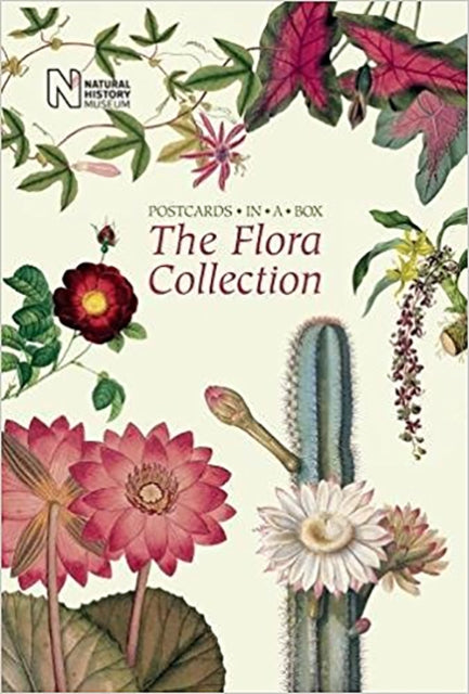 The Flora Collection: Postcards in a Box