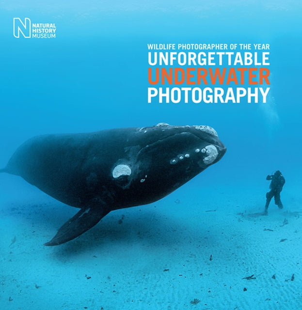 Wildlife Photographer of the Year: Unforgettable Underwater Photography