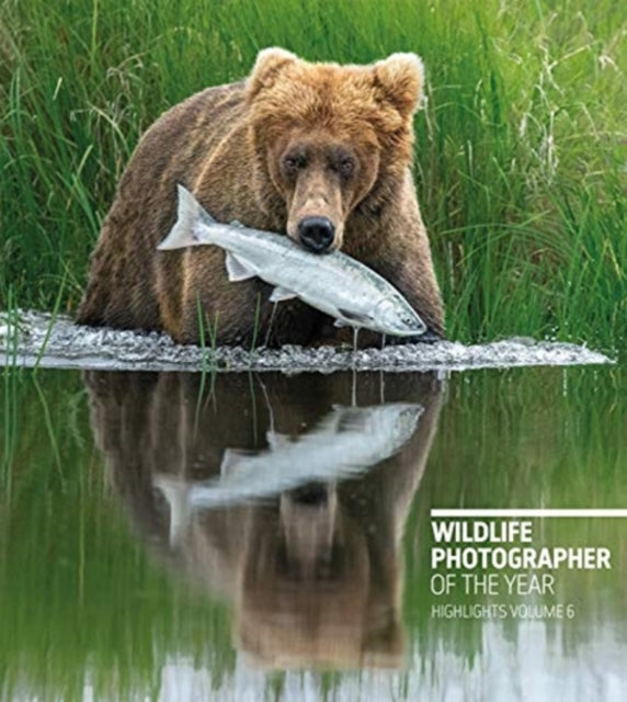 Wildlife Photographer of the Year: Highlights Volume 6