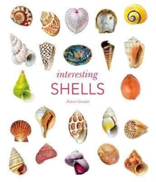 Interesting Shells