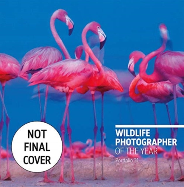 Wildlife Photographer of the Year - Portfolio 31