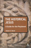 Historical Jesus: A Guide for the Perplexed