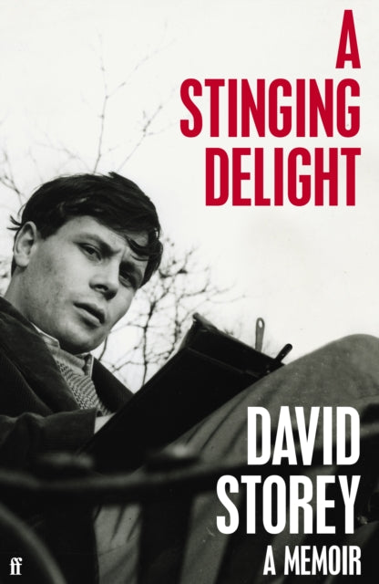 A Stinging Delight - A Memoir