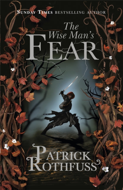 The Wise Man's Fear (The Kingkiller Chronicle: Book 2)