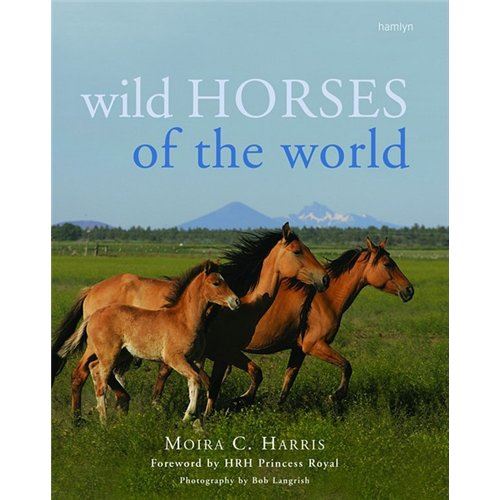 Wild Horses of the World