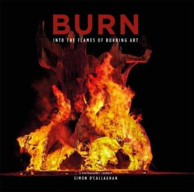 BURN - Into the Flames of Burning Art