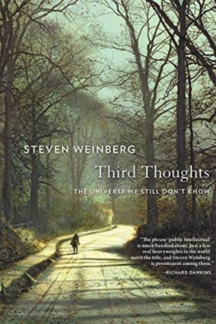 Third Thoughts - The Universe We Still Don't Know