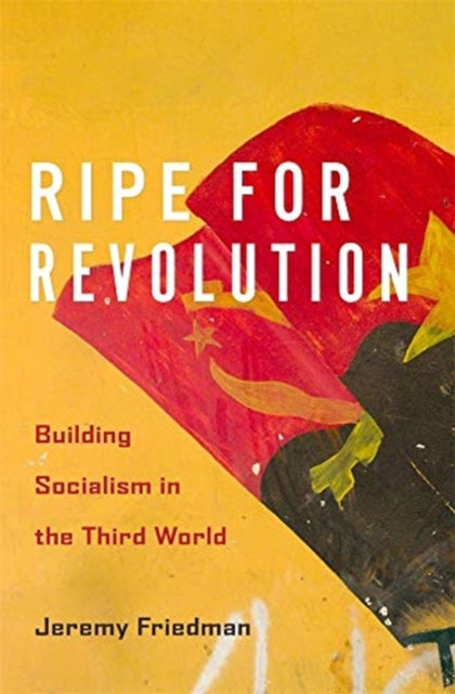 Ripe for Revolution - Building Socialism in the Third World
