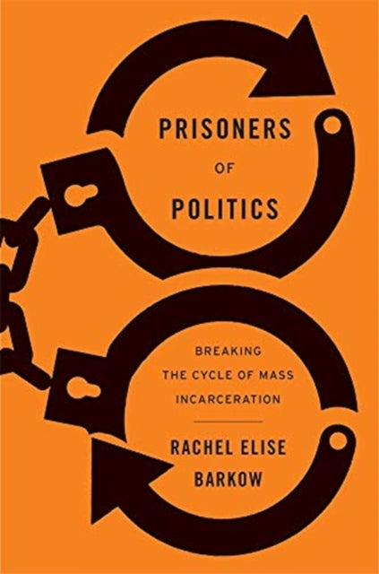 Prisoners of Politics - Breaking the Cycle of Mass Incarceration