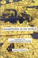 Maimonides in His World: Portrait of a Mediterranean Thinker