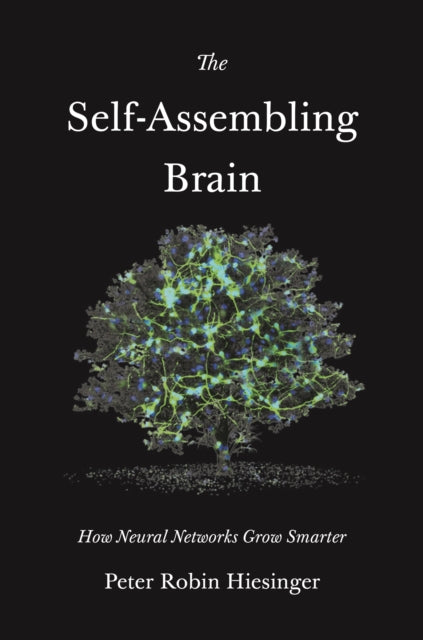 SELF-ASSEMBLING BRAIN