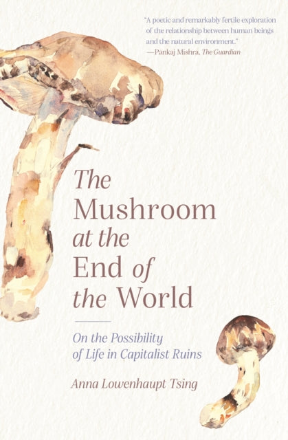 The Mushroom at the End of the World - On the Possibility of Life in Capitalist Ruins