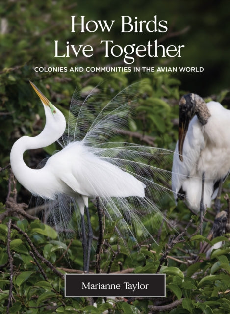 How Birds Live Together