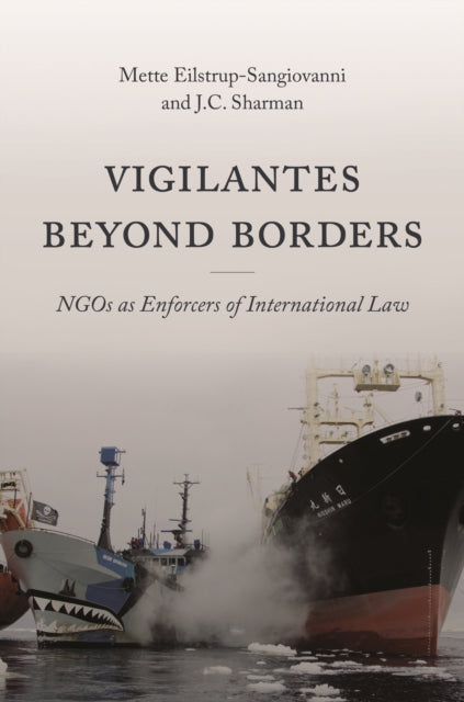 Vigilantes beyond Borders - NGOs as Enforcers of International Law