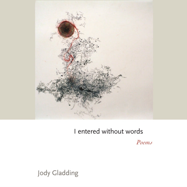 I entered without words - Poems