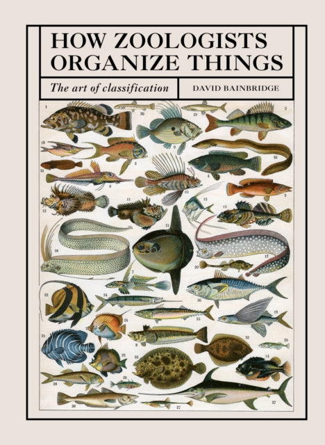 How Zoologists Organize Things - The Art of Classification