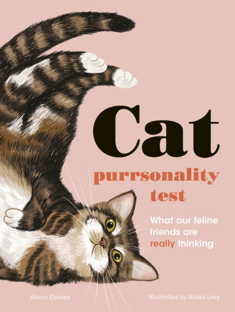 The Cat Purrsonality Test - What Our Feline Friends Are Really Thinking