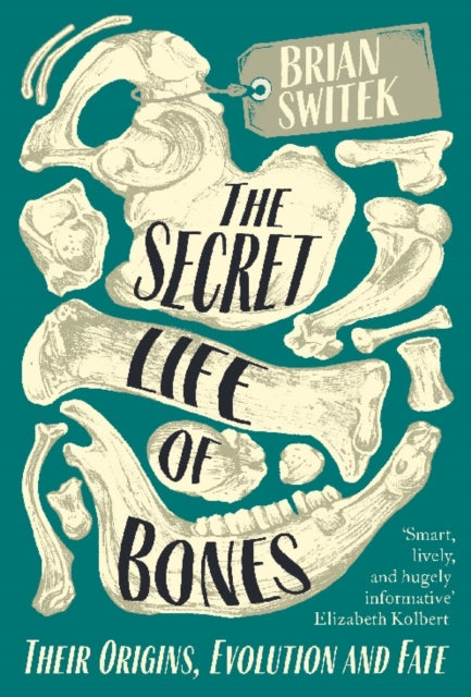 The Secret Life of Bones - Their Origins, Evolution and Fate