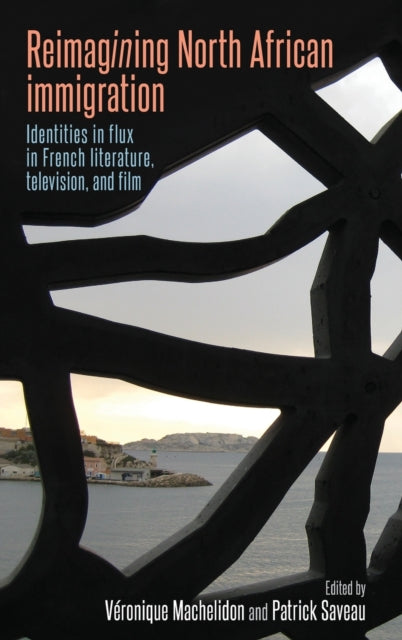 Reimagining North African Immigration - Identities in Flux in French Literature, Television, and Film