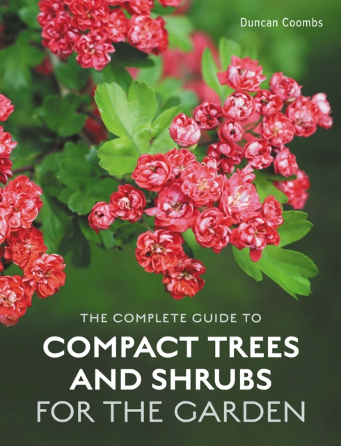 Complete Guide to Compact Trees and Shrubs