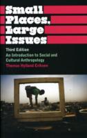 Small Places, Large Issues: An Introduction to Social and Cultural Anthropology
