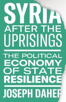 Syria after the Uprisings - The Political Economy of State Resilience