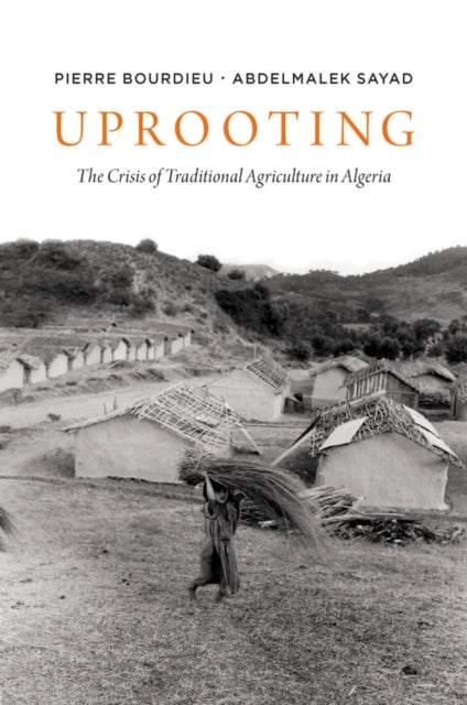 Uprooting - The Crisis of Traditional Algriculture in Algeria