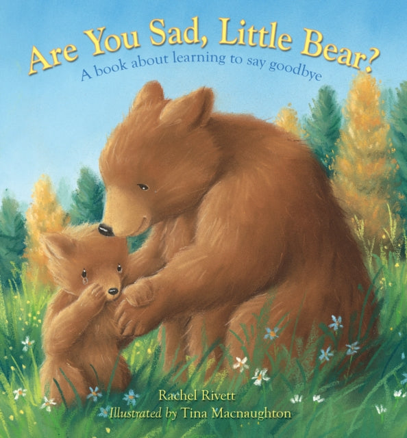 Are You Sad, Little Bear? - A book about learning to say goodbye