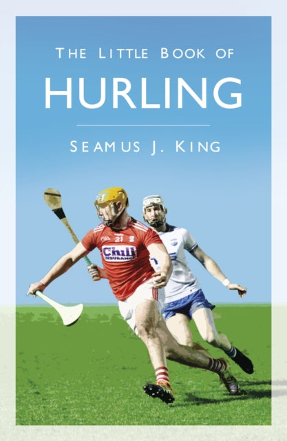 Little Book of Hurling