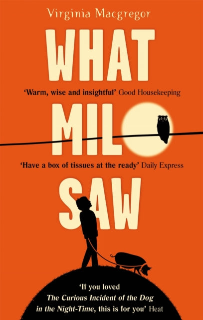 What Milo Saw: A wise and surprising story about families and seeing the world differently