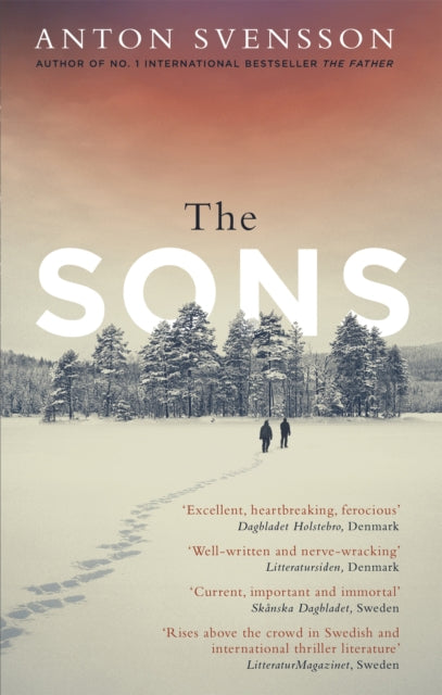 The Sons - The completely thrilling follow-up to crime bestseller The Father