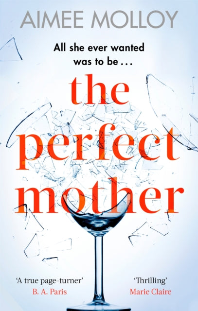 The Perfect Mother - A gripping thriller with a nail-biting twist