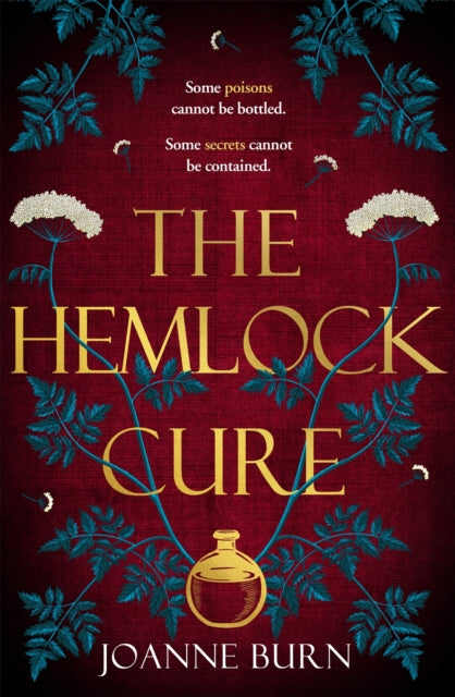 The Hemlock Cure - "A beautifully written story of the women of Eyam" Jennifer Saint, author of ARIADNE