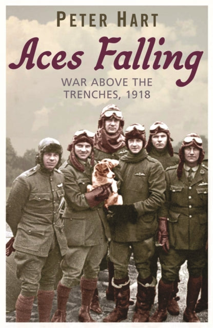 Aces Falling: War Above The Trenches, 1918