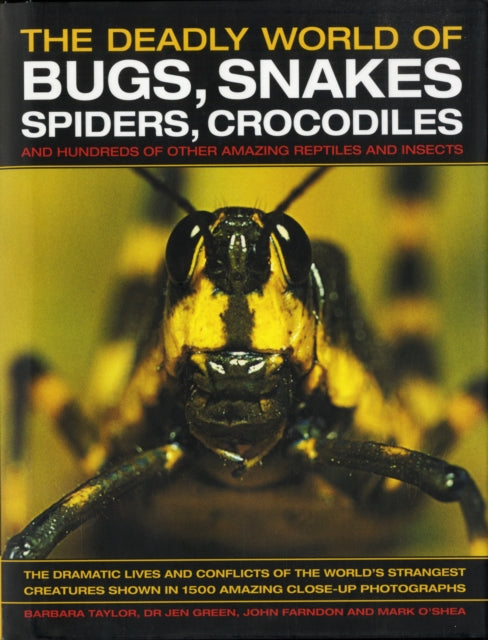 The Deadly World of Bugs, Snakes, Spiders, Crocodiles and Hundreds of Other Amazing Reptiles and Insects: Discover the Amazing World of Reptiles and Bugs, Featuring More Than 1500 Fabulous Wil