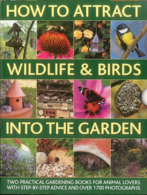 How to Attract Wildlife & Birds into the Garden