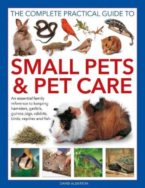 Small Pets and Pet Care, The Complete Practical Guide to - An essential family reference to keeping hamsters, gerbils, guinea pigs, rabbits, birds, reptiles and fish
