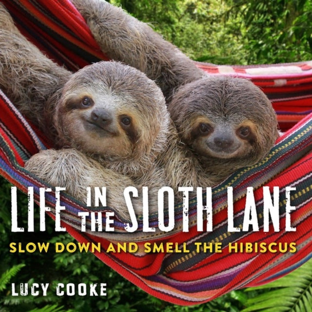 Life In The Sloth Lane - Slow Down and Smell the Hibiscus