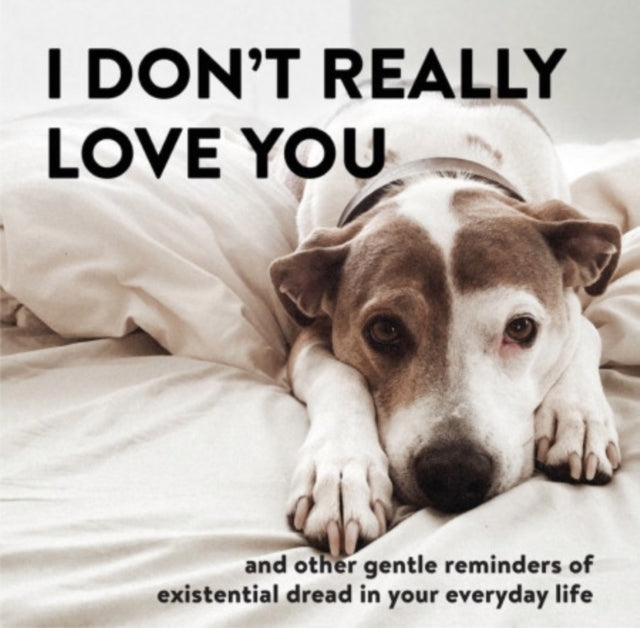 I Don't Really Love You - And Other Gentle Reminders of Existential Dread in Your Everyday Life