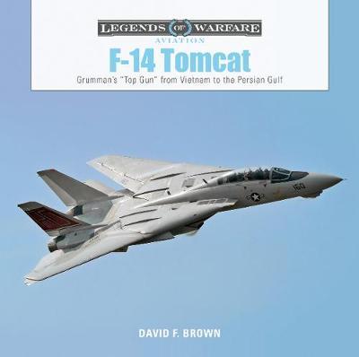 F-14 Tomcat