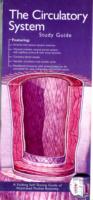 Anatomical Chart Company's Illustrated Pocket Anatomy: The Circulatory System Study Guide