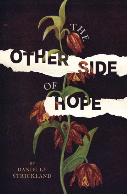 The Other Side of Hope - Flipping the Script on Cynicism and Despair and Rediscovering our Humanity