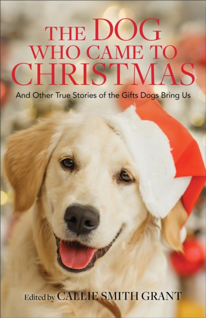 Dog Who Came to Christmas – And Other True Stories of the Gifts Dogs Bring Us