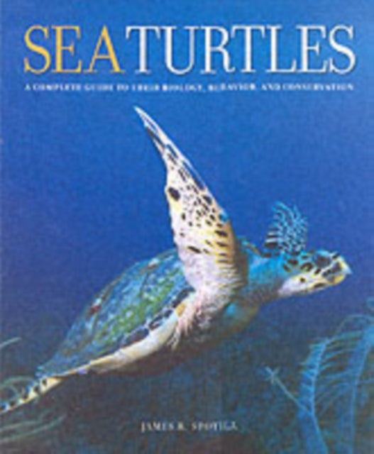 Sea Turtles