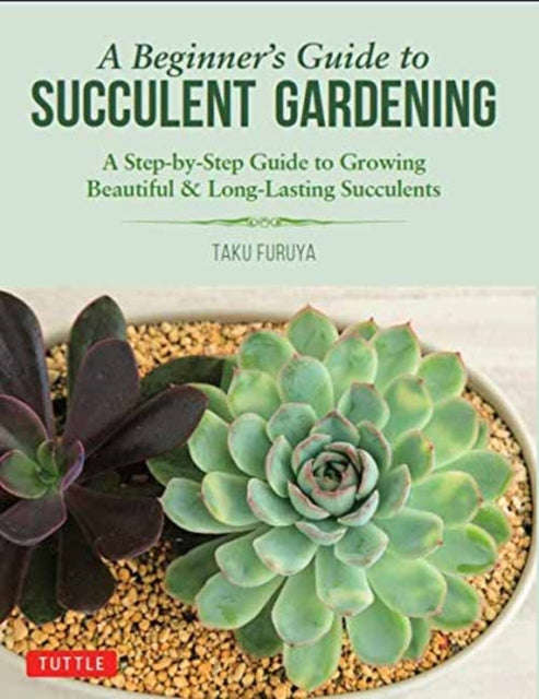 A Beginner's Guide to Succulent Gardening