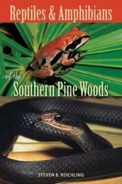 Reptiles and Amphibians of the Southern Pine Woods